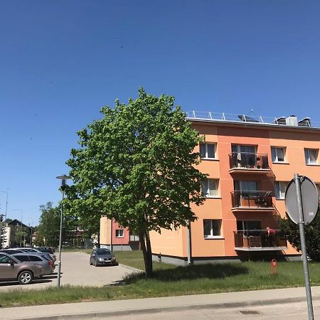 Neriesapartment No.3 With Terrace In Centrum Palanga Luaran gambar